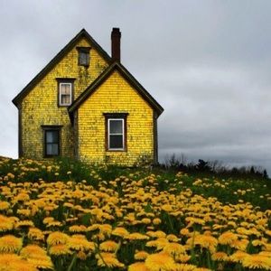 Meet your Posher, Waffles